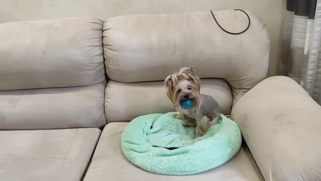 Примерка купальника?️ Чемоданное настроение ?