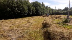 Чешская косилка МФ-70 (MF-70) с грабли-ворошилкой