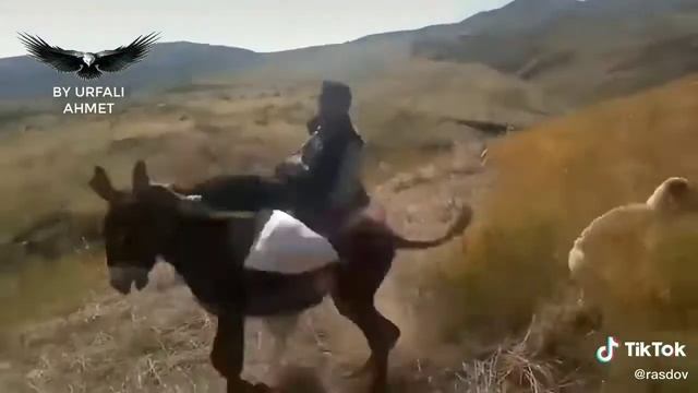 Казаков прикол смотреть онлайн