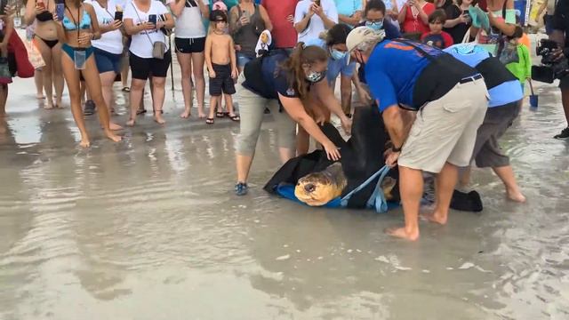 Sunrise Release Final смотреть онлайн