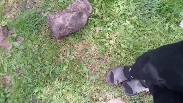 Пол это лава челенж (паркур челенж) 1 смотреть онлайн