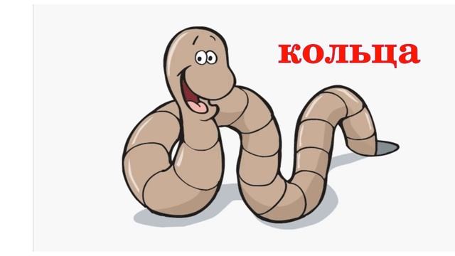 Зарядка для прямой кишки.