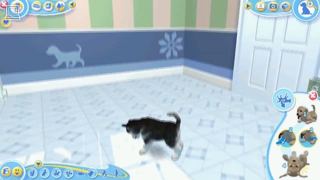 Petz Dogz 2 : GeForce 8600M GT смотреть онлайн