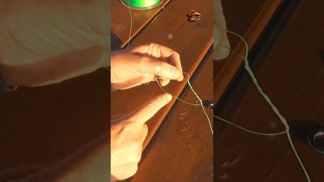 Как связать петлю для отводных поводков на основной леске Рыболовные узлы #shorts смотреть онлайн