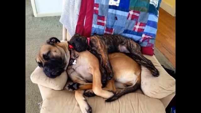 Любовь-это великая сила.. смотреть онлайн