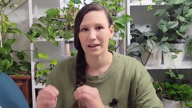 5 Must Have Monstera Varieties смотреть онлайн