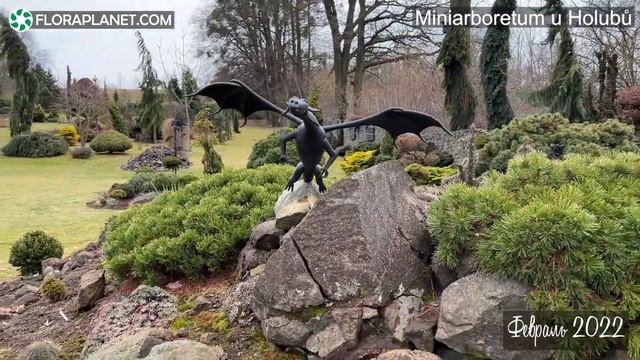 Мини арборетум Холуба (Чехия). Miniarboretum U Holubů. Коллекция хвойных растений