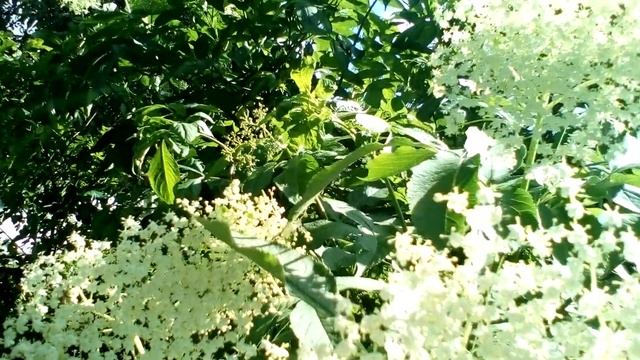 "ХРИСТОС" Христианские стихи глубоким смыслом. смотреть онлайн