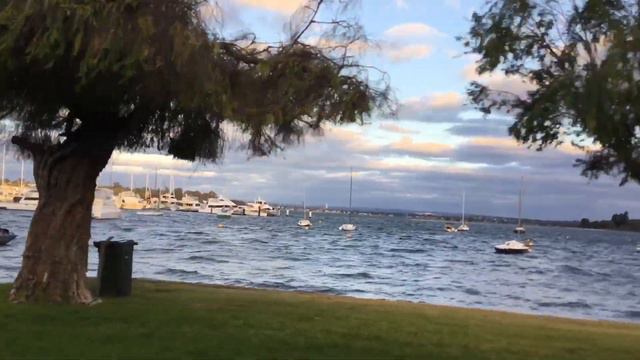 Жизнь в Австралии Life in Australia KINGS PARK SWAN RIVER UWA australia смотреть онлайн
