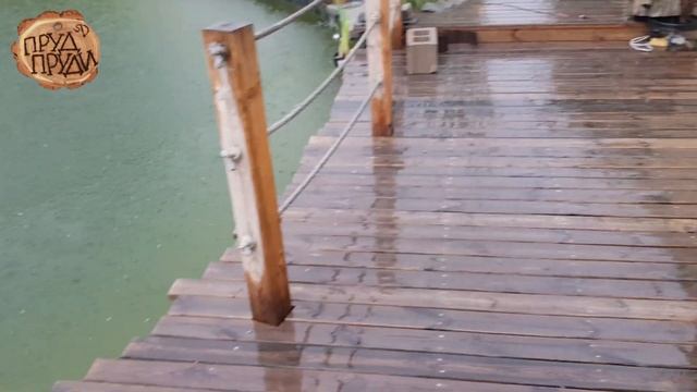 ПРУД СВОИМИ РУКАМИ//Плавательный пруд с биоплато//Пруд для рыбы с биоплато// смотреть онлайн