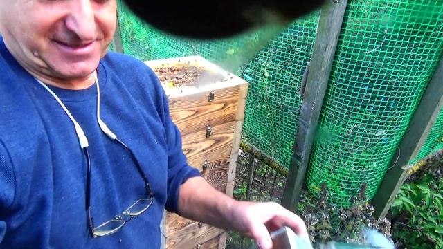 Японский улей. Первый мед он вкусный самый смотреть онлайн