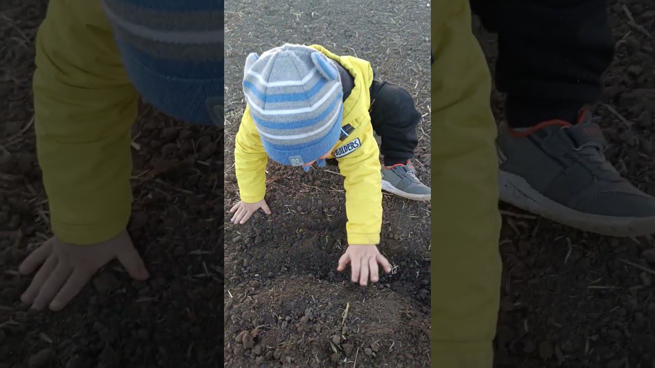 Первые всходы осмотрели смотреть онлайн