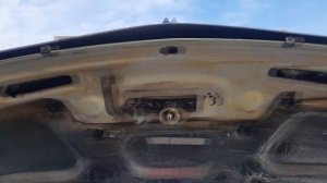 Мойка двигателя и обработка капота мовилью