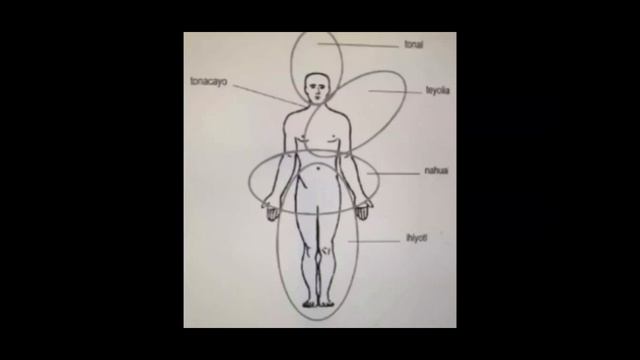 Часть 1. Толтеки и их тайные знания о том, из каких энергетических тел мы состоим? Смотри описание. смотреть онлайн