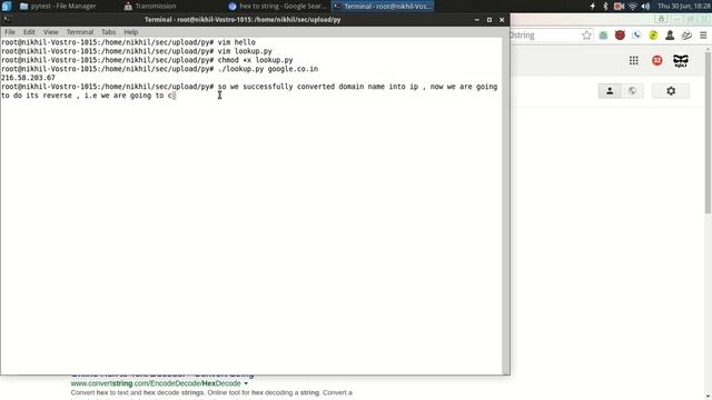 DNS Lookup - Python смотреть онлайн
