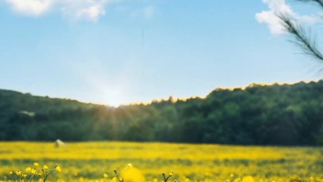 МЫ БОГИ В ЧЕЛОВЕЧЕСКОМ ОБРАЗЕ...#околосмертныйопыт#жизньпослежизни#духовныймир#душа#рай#иисус смотреть онлайн