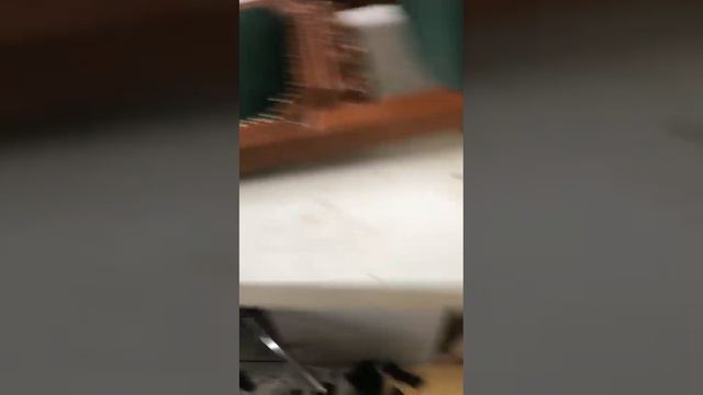 15 de fevereiro de 2024 смотреть онлайн