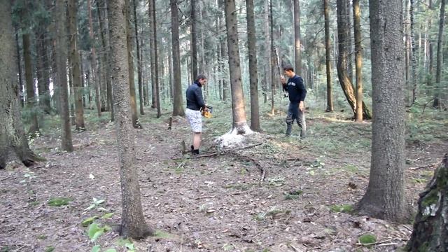 2013 др Дрына валим дерево смотреть онлайн