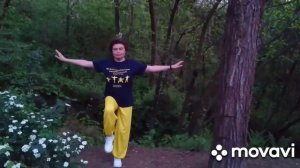 комплекс Вэй Ци