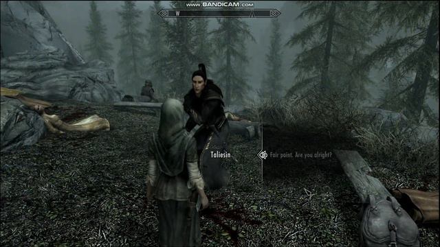 Skyrim 'The Thalmor's Shadow' : Finding Taliesin смотреть онлайн