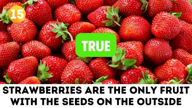 True or False General Knowledge Quiz #14 смотреть онлайн