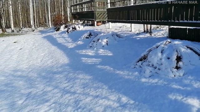 Татьяна. И вообще,что происходит с Финляндией? Кто наследил? Весенние сюрпризы природы и не только… смотреть онлайн