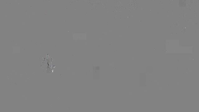 Незаконный автосервис .Когда закроется? Королев мкрн Первомайский ул Горького 2а смотреть онлайн