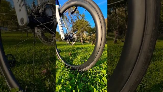 The New 2024 setup Canyon Aeroad CFR #viralvideo #bike #viral #viralshort #bikelover смотреть онлайн