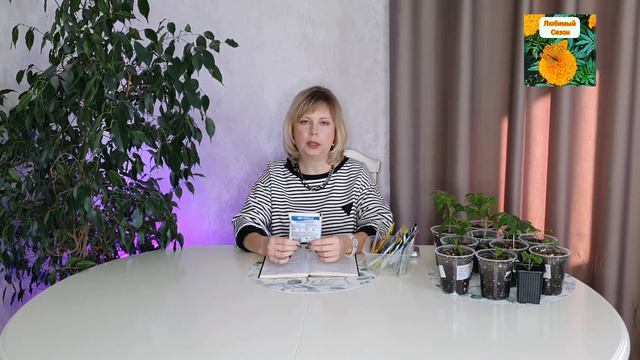 ВАЖНАЯ ПОДКОРМКА ДЛЯ ЛЮБОЙ РАССАДЫ. смотреть онлайн