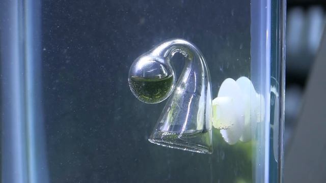 Bubbles per Second - Aquarium Co2 and Measuring Levels смотреть онлайн