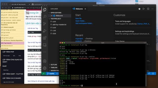 Git 08: Tag trong Git, đánh dấu phiên bản và đẩy lên GitHub смотреть онлайн