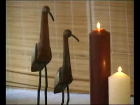 Чувственный массаж. Экзотические массажи мира - 2009