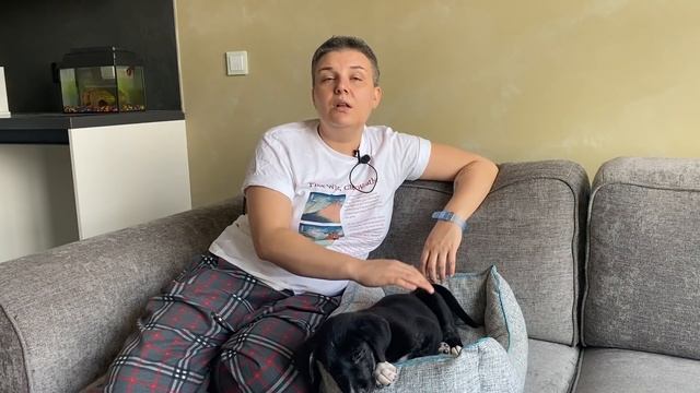 Что случилось, Усы? Щенок кусает руки