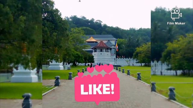 kandy tooth temple смотреть онлайн