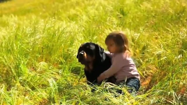 Клип ротвейлеры|||моя ос смотреть онлайн