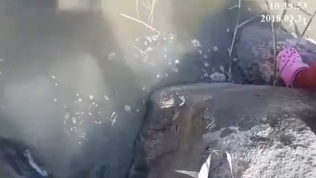 WhatsApp Video 2018 03 31 at 20 14 00 смотреть онлайн