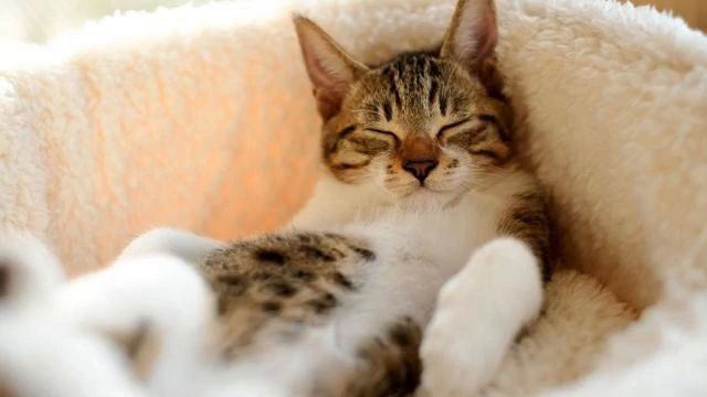 Новая русская музыка . От этой песни в сердце разлива... смотреть онлайн