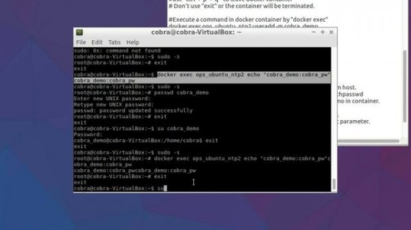 003. Execute command with pipe(|) in docker container form host
