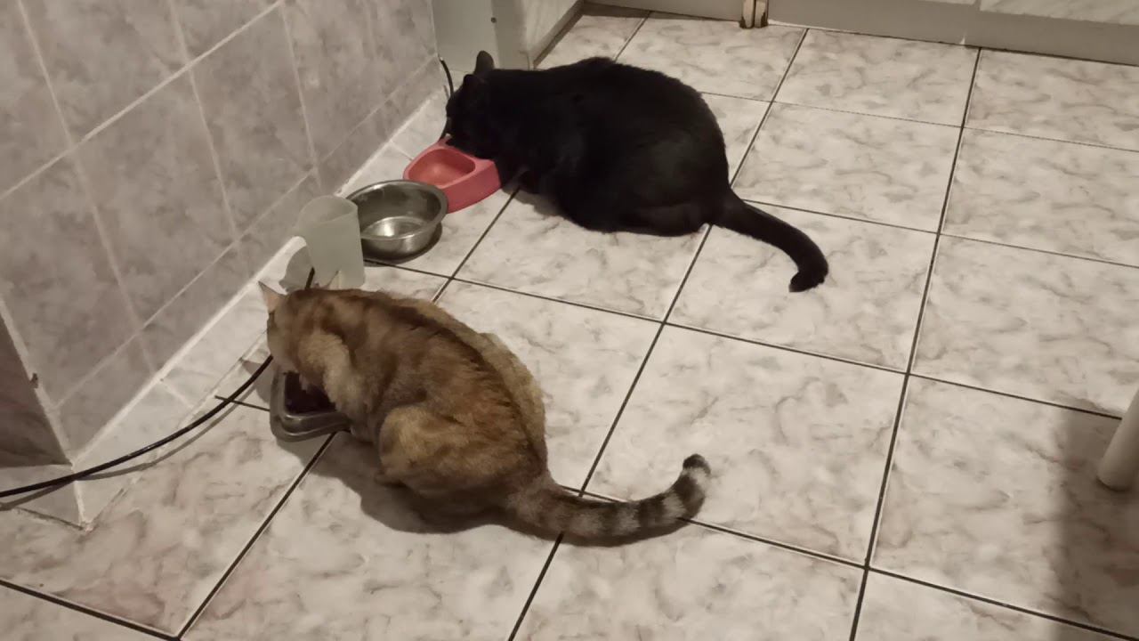 30 января 2021 г. смотреть онлайн