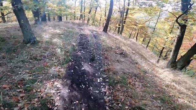 Wartburg Enduro 2020 смотреть онлайн