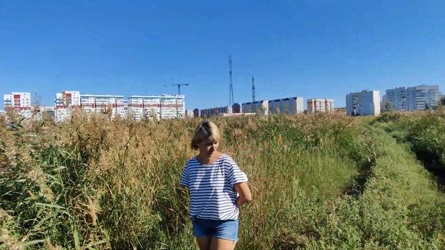 КотопЁс Кот с повадками собаки смотреть онлайн