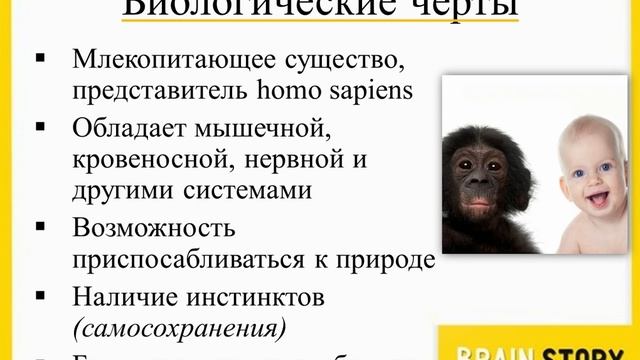 2.1.2 Человек как биологическое существо. ОГЭ по Обществознанию смотреть онлайн
