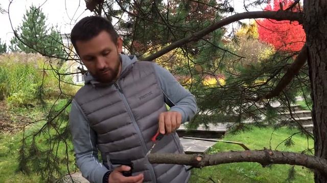 Второй способ удаления скелетных ветвей (1) смотреть онлайн