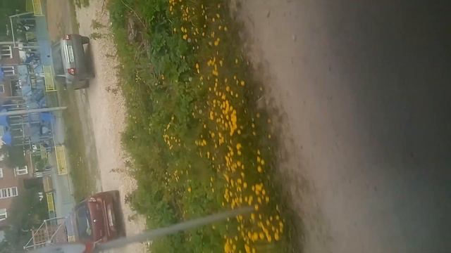 еду на дачу смотреть онлайн