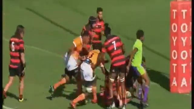 Cheetah Chase Ep- Cheetah visit Casper on 17 Feb 2021 . смотреть онлайн