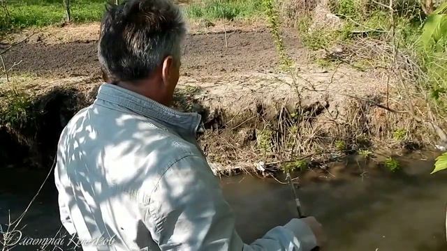 Как самой простой снастью можно поймать рыбу в любой речке. Кубань. Мастер класс. Живите в Кайф! смотреть онлайн