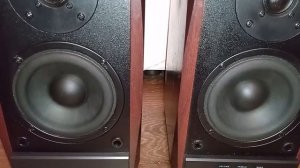 Видео обзор активных колонок 2.0 Sven sps 704