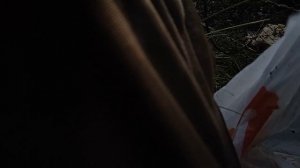 Проверка мордушки. Рыбалка на линя.