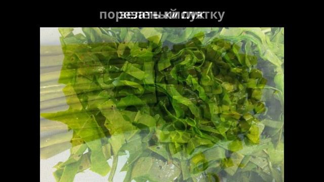 Салат с редиской, огурцом и кисляткой. Мамулины рецепты. смотреть онлайн