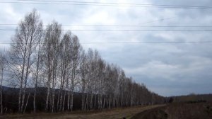 Умышленное короткое замыкание ЛЭП 110 кВ